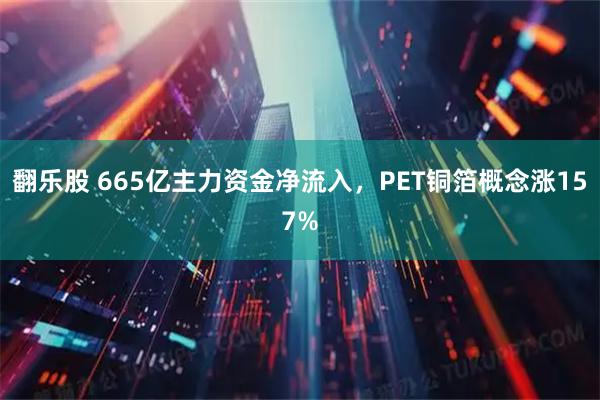 翻乐股 665亿主力资金净流入，PET铜箔概念涨157%